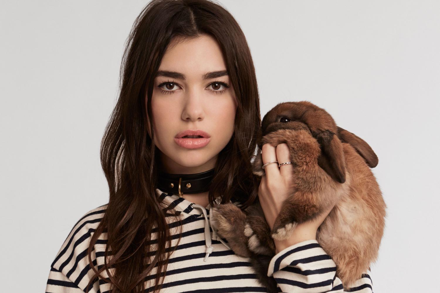 Rekor Dua Lipa di Dunia Musik Internasional Layak Diacungi Jempol